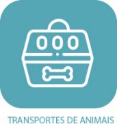 transporte-de-animais